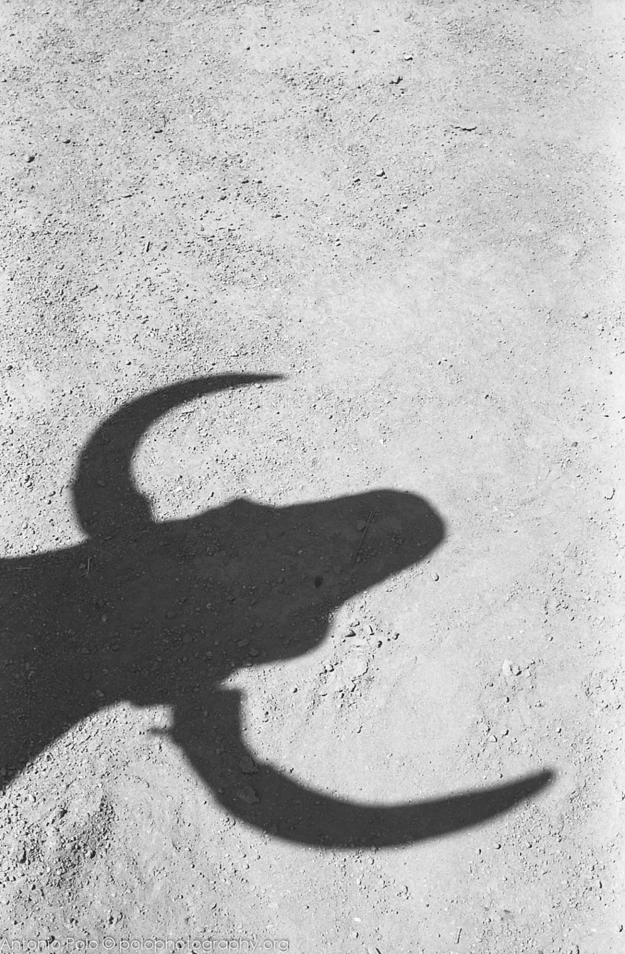 Archillect ID 19422