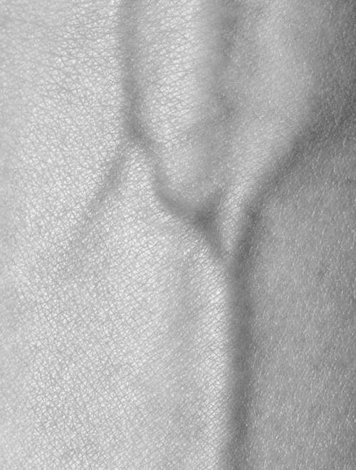 Archillect ID 19528