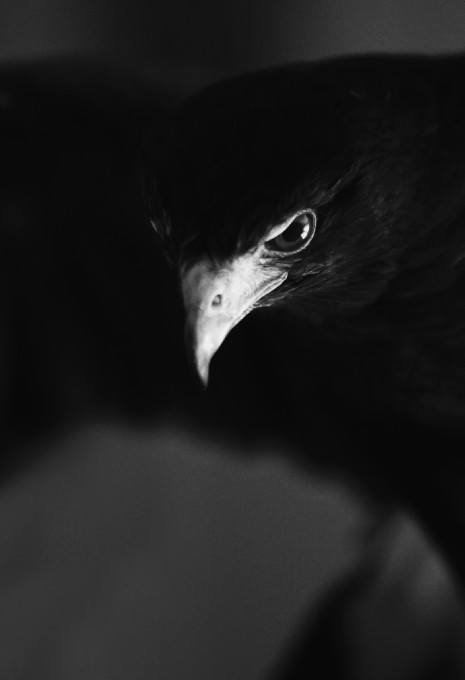 Archillect ID 19549