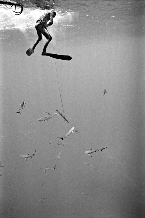 Archillect ID 19582