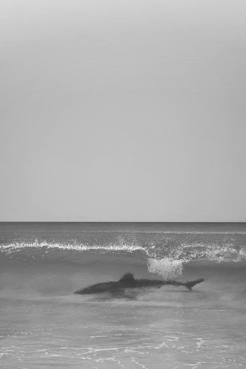 Archillect ID 19634