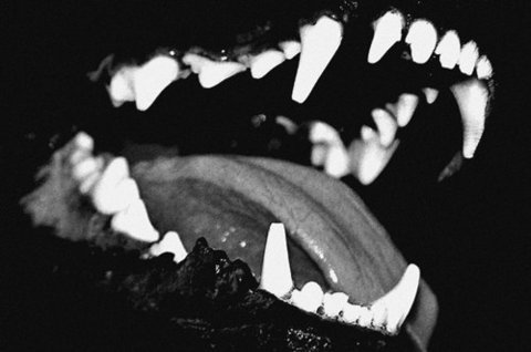 Archillect ID 19698