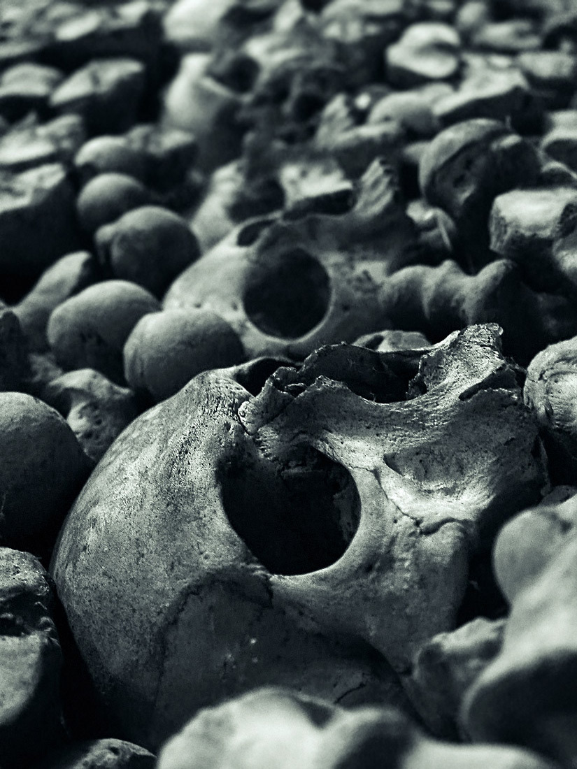 Archillect ID 19700