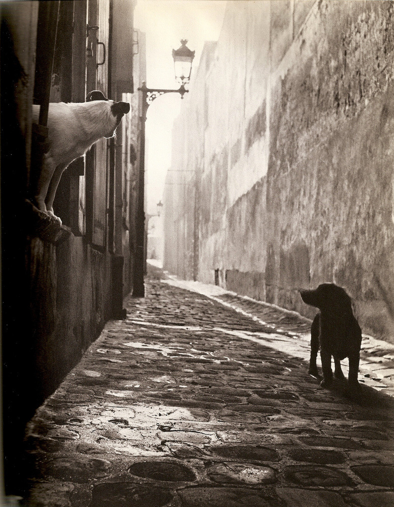 Archillect ID 19719