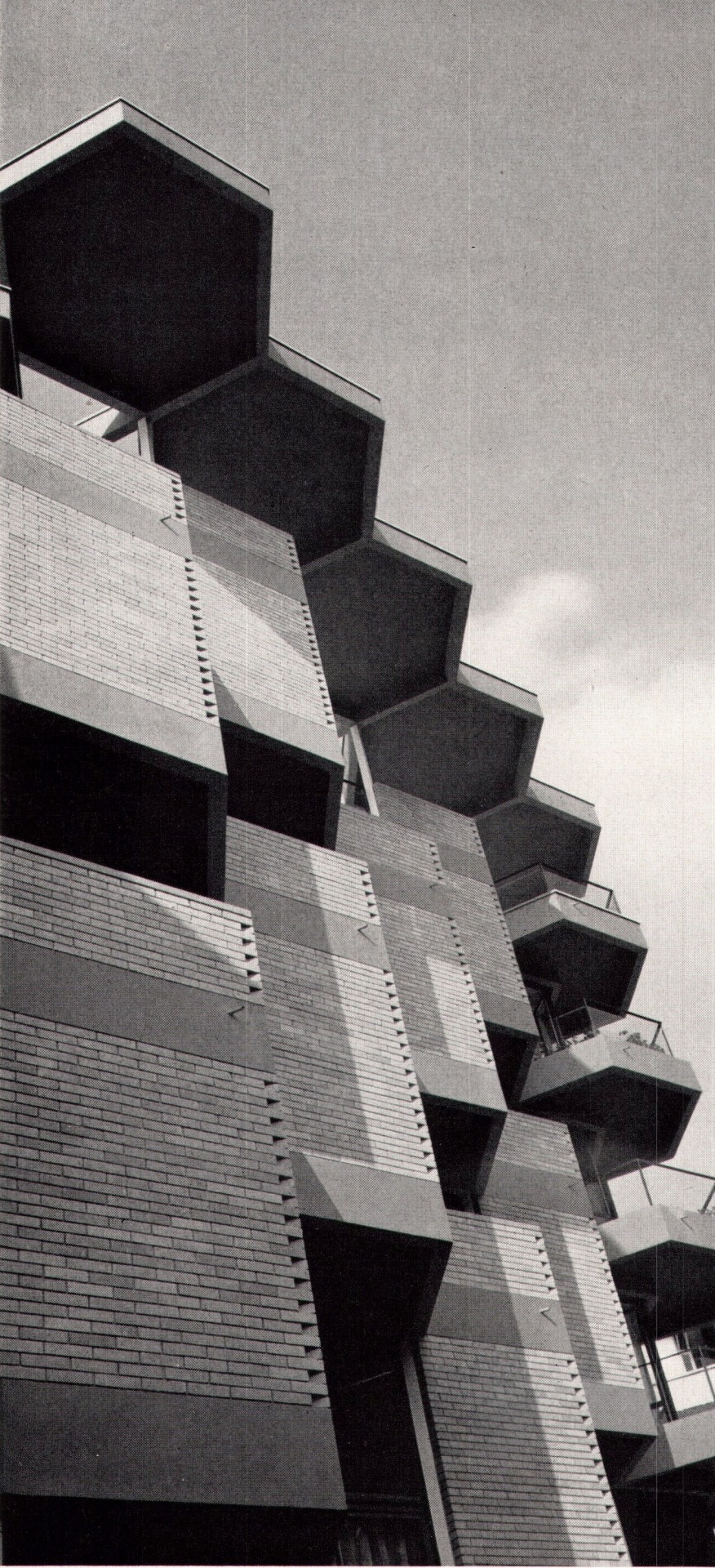 Archillect ID 19797