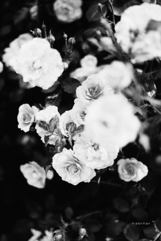 Archillect ID 19865