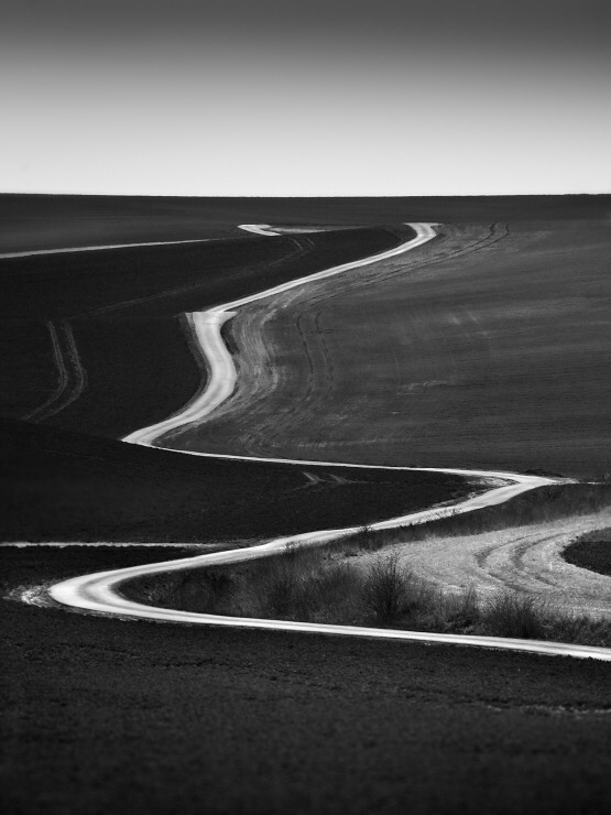 Archillect ID 19931
