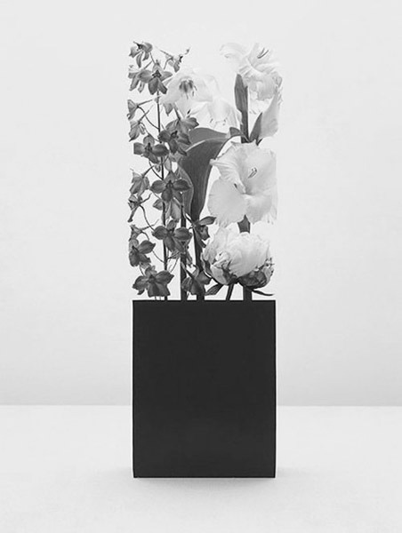Archillect ID 19959
