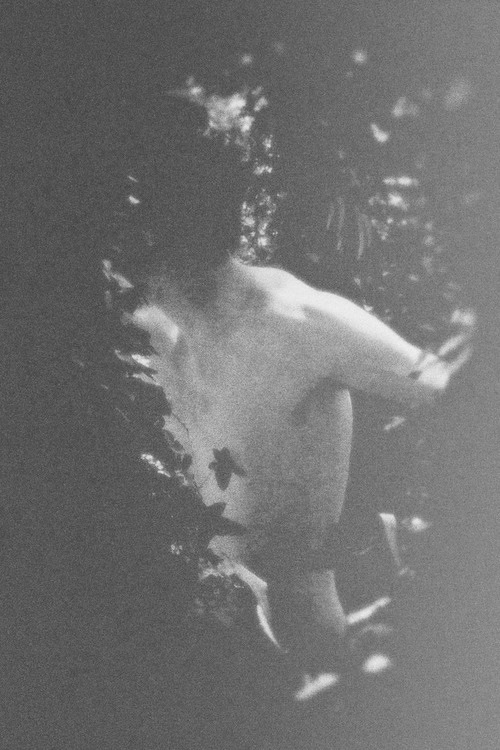 Archillect ID 19971