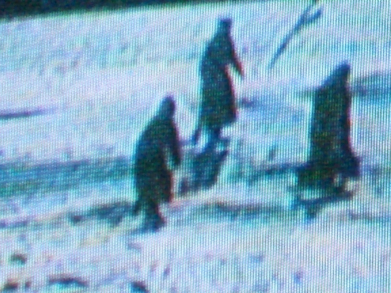 Archillect ID 19981