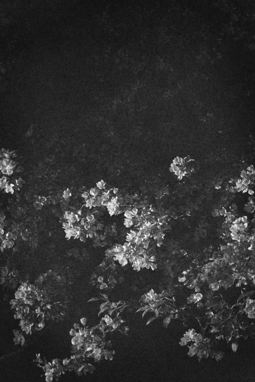 Archillect ID 19983