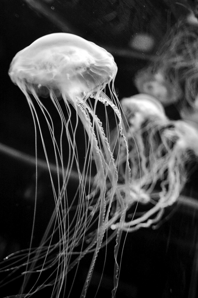 Archillect ID 20115