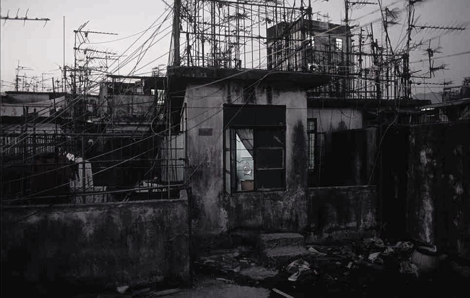 Archillect ID 20283