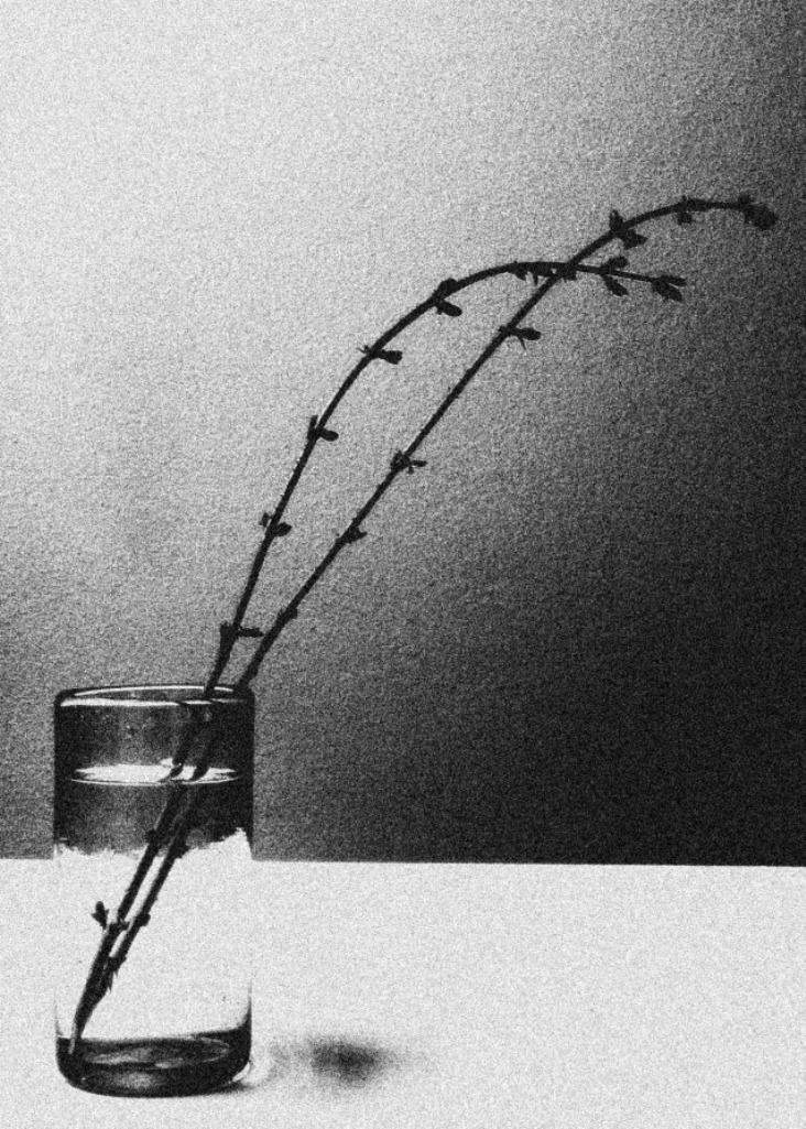Archillect ID 20341