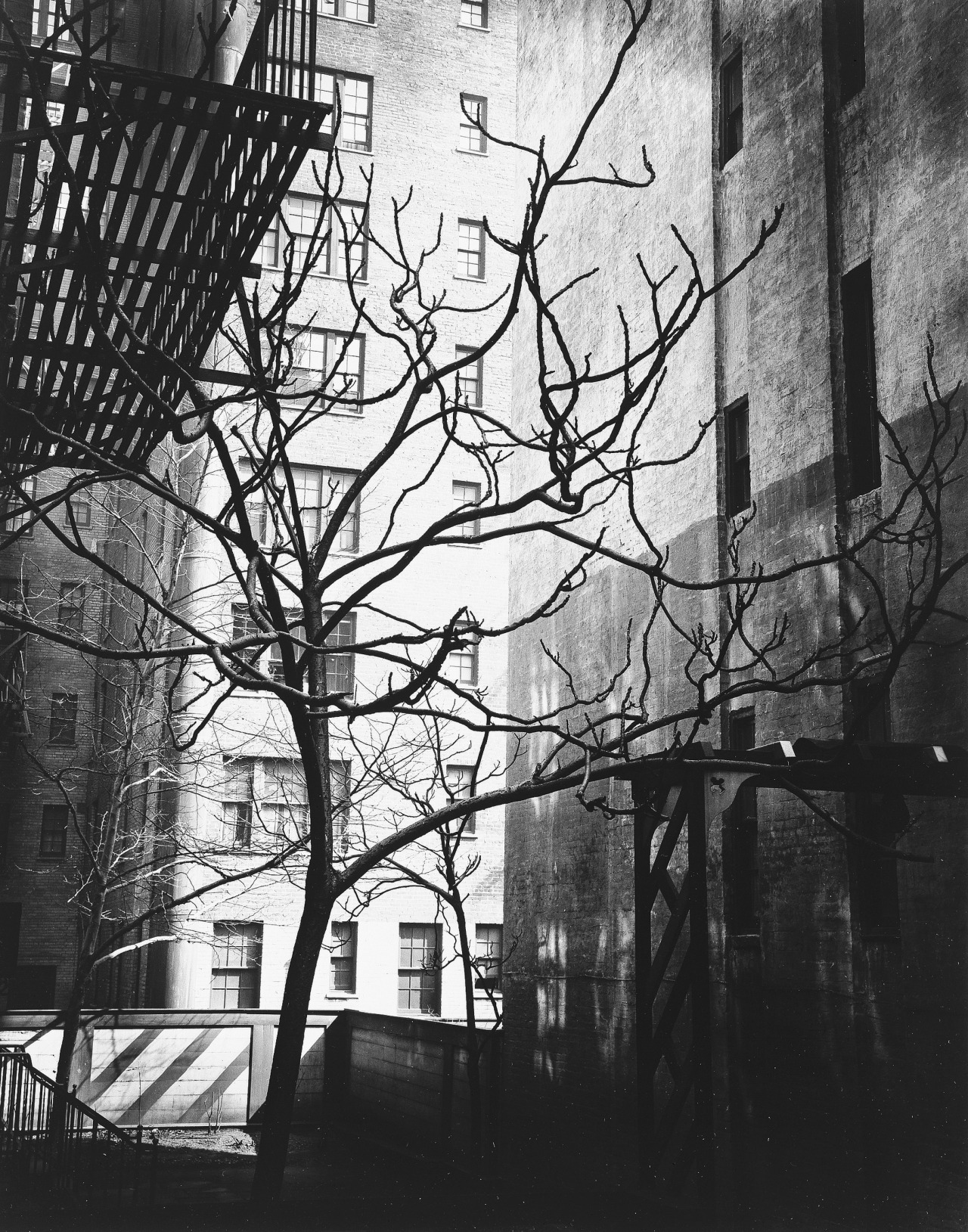 Archillect ID 20402