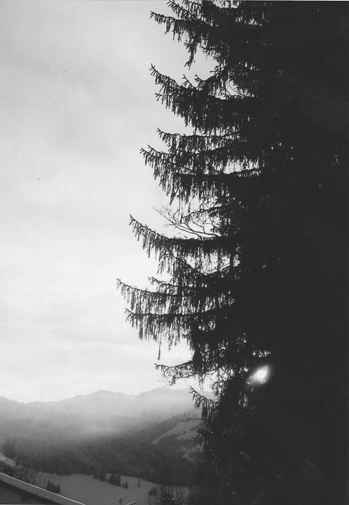 Archillect ID 20458