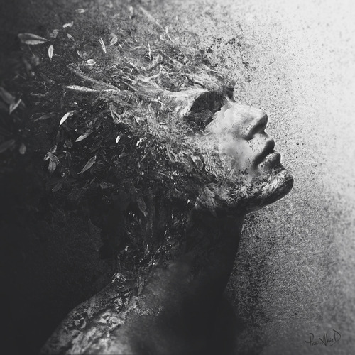 Archillect ID 20490