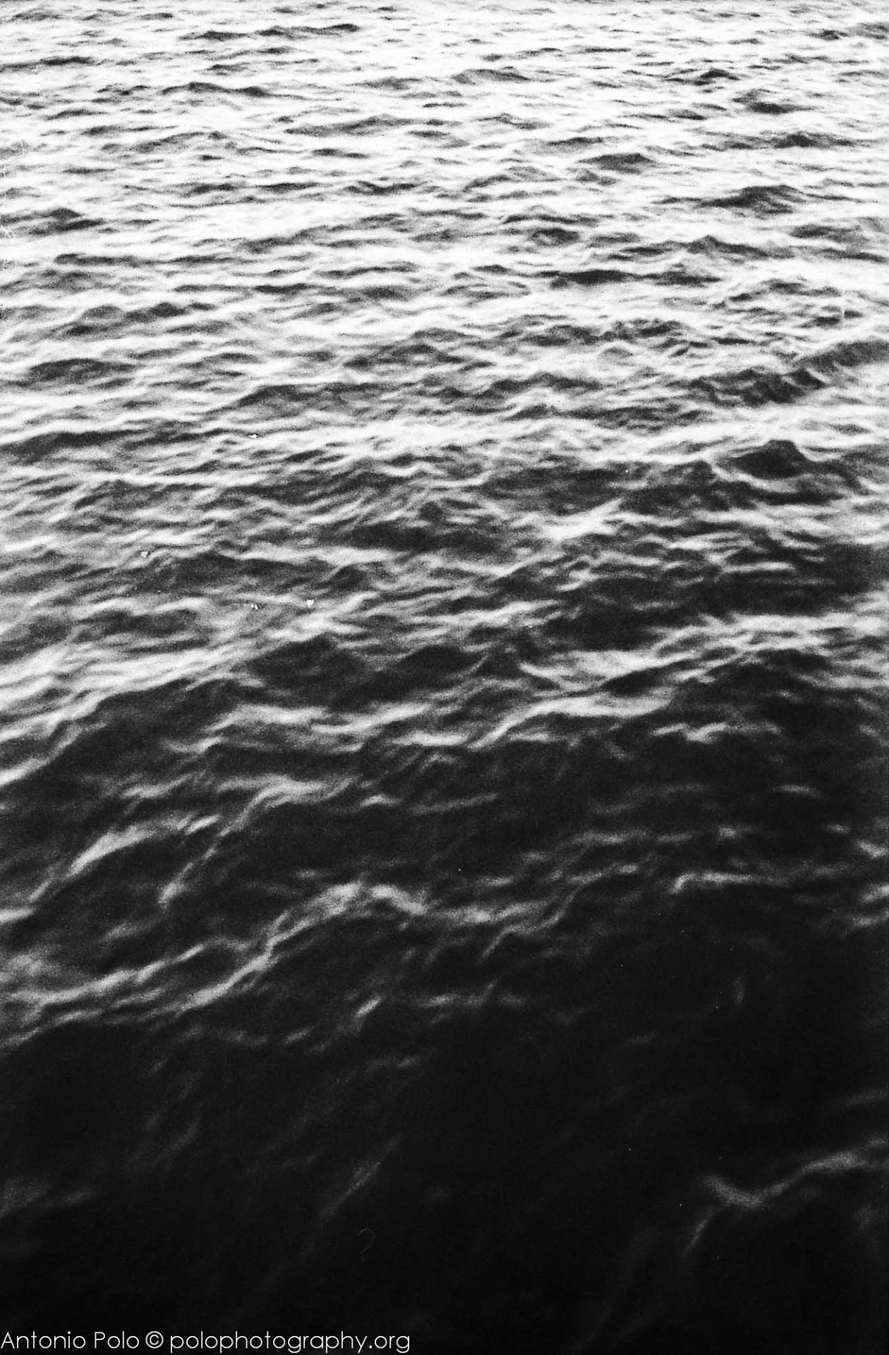 Archillect ID 20513