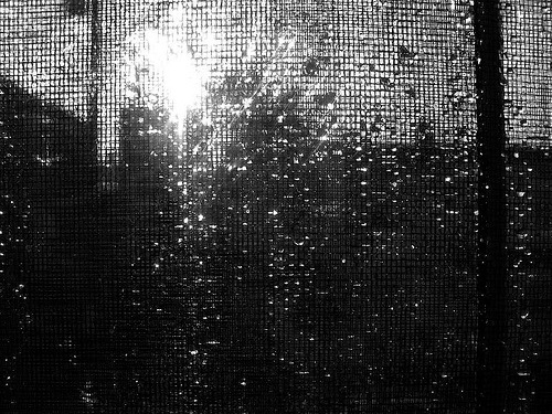 Archillect ID 20696