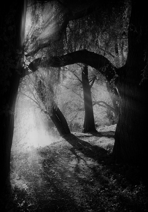 Archillect ID 20724