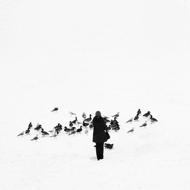 Archillect ID 20726