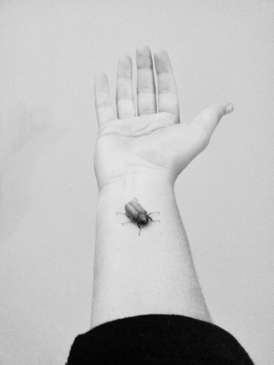 Archillect ID 20781