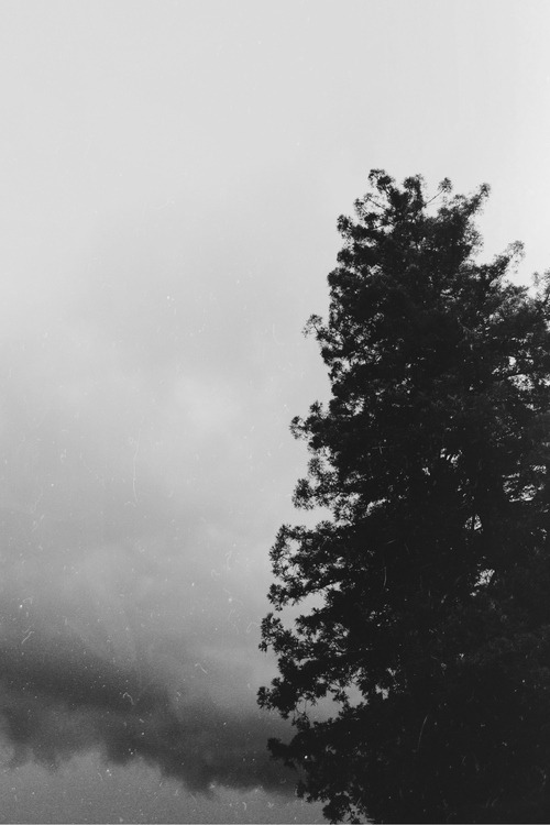 Archillect ID 20819