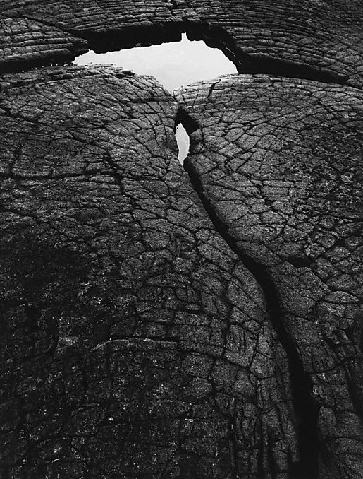 Archillect ID 20830