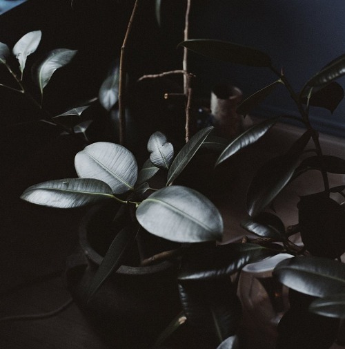 Archillect ID 20836