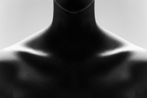 Archillect ID 20999