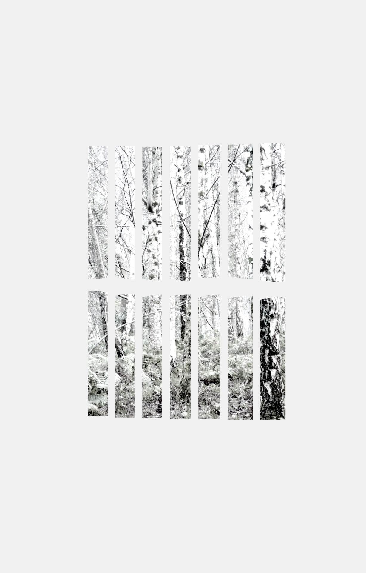 Archillect ID 21005