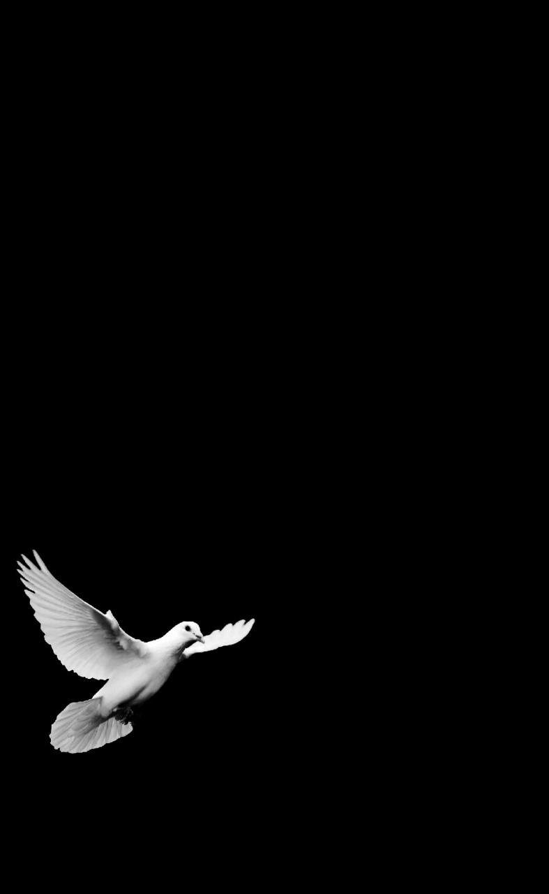 Archillect ID 21008