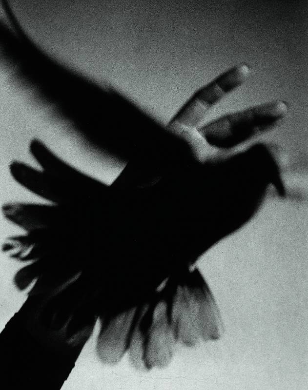 Archillect ID 21105