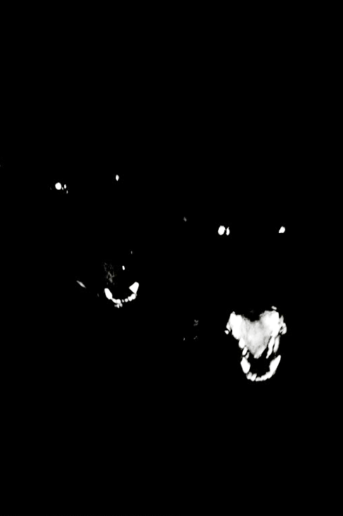 Archillect ID 21126
