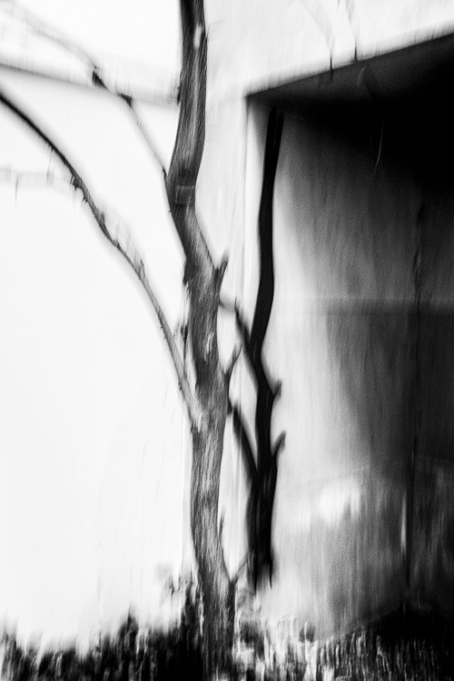 Archillect ID 21182