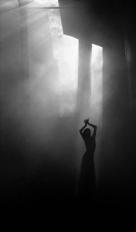 Archillect ID 21224