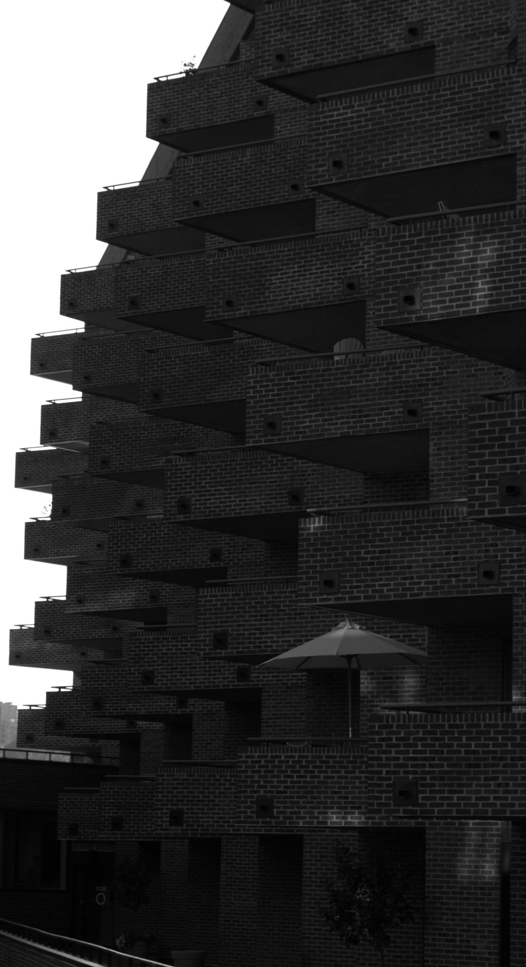 Archillect ID 21245
