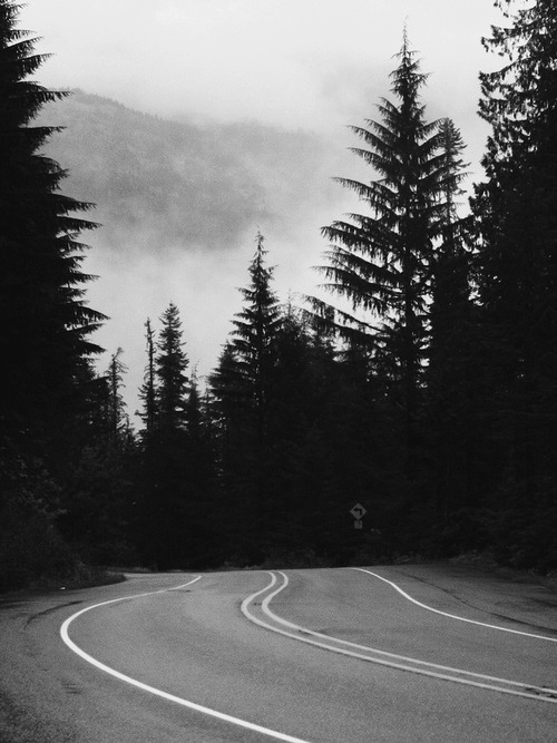 Archillect ID 21297
