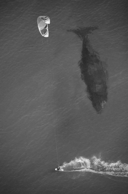 Archillect ID 21304
