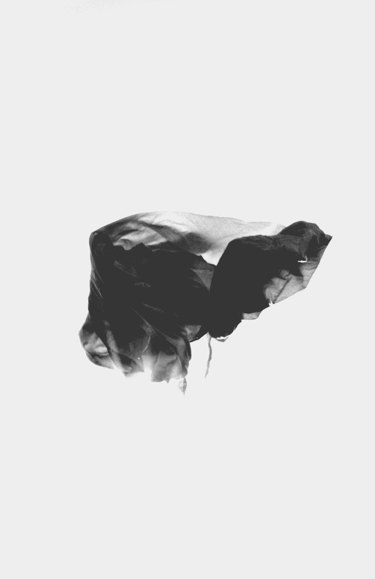 Archillect ID 21317