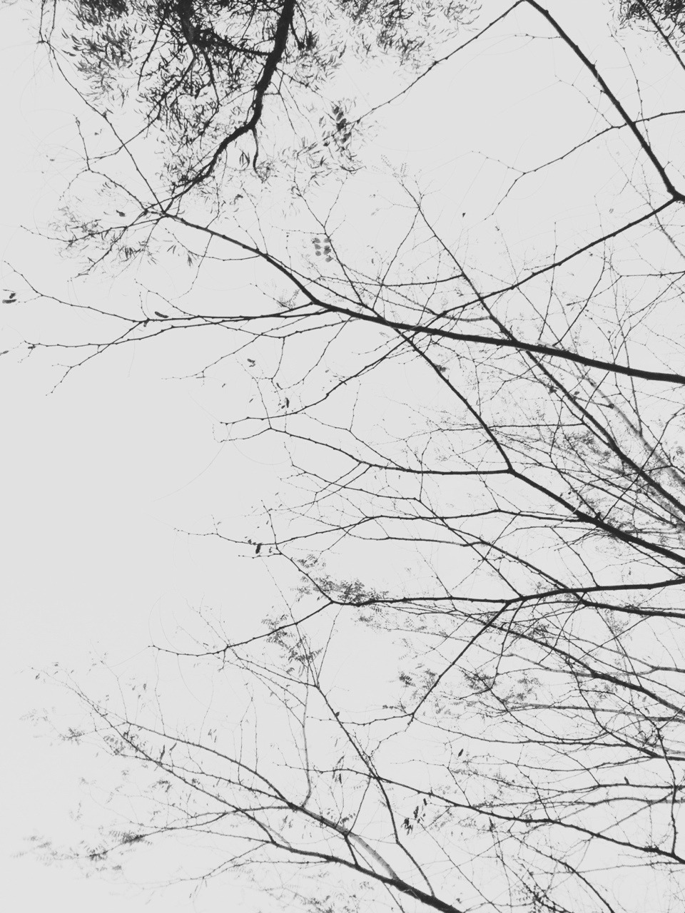 Archillect ID 21318