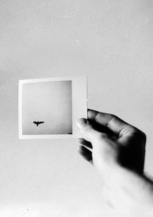 Archillect ID 21339