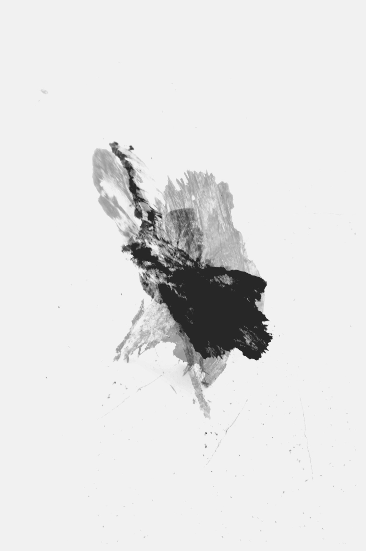 Archillect ID 21343
