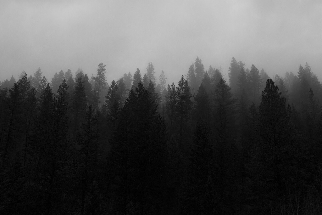 Archillect ID 21387