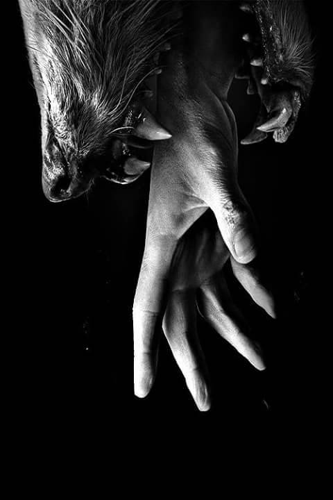 Archillect ID 21395