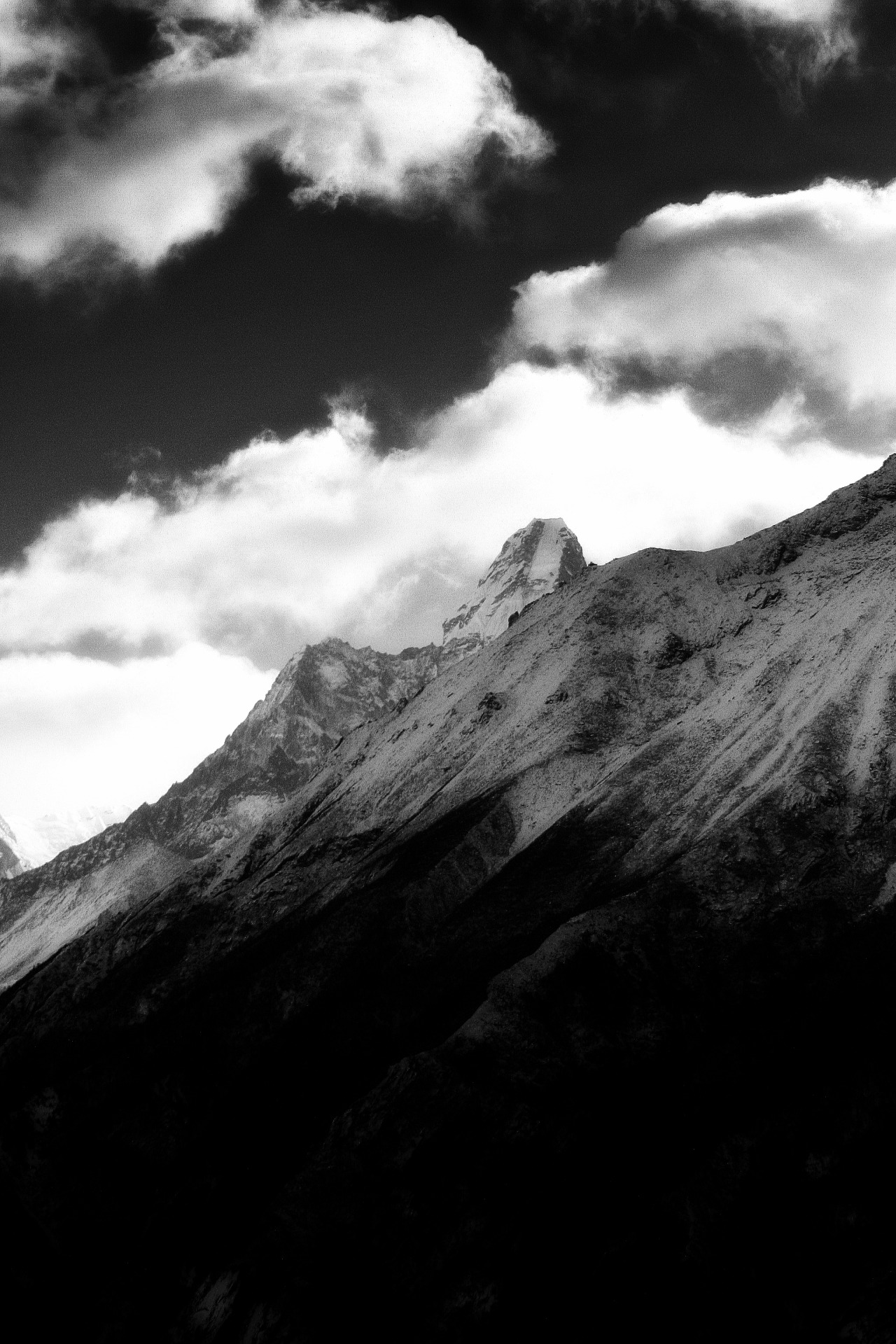 Archillect ID 21409