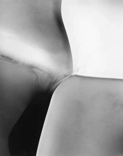 Archillect ID 21487