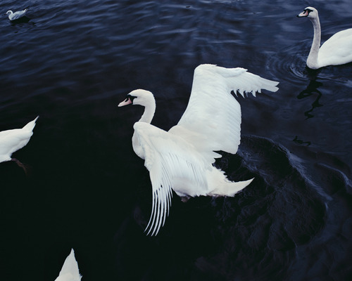 Archillect ID 21505