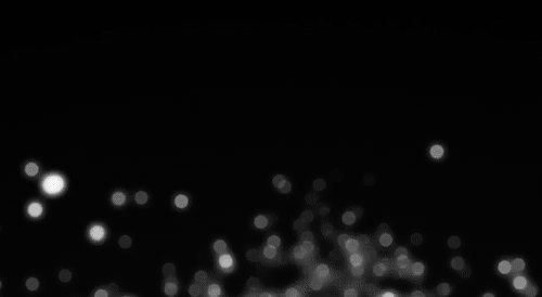 Archillect ID 21562
