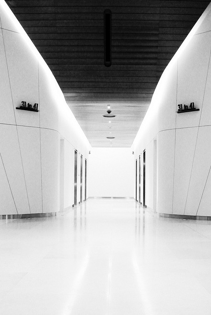Archillect ID 21721